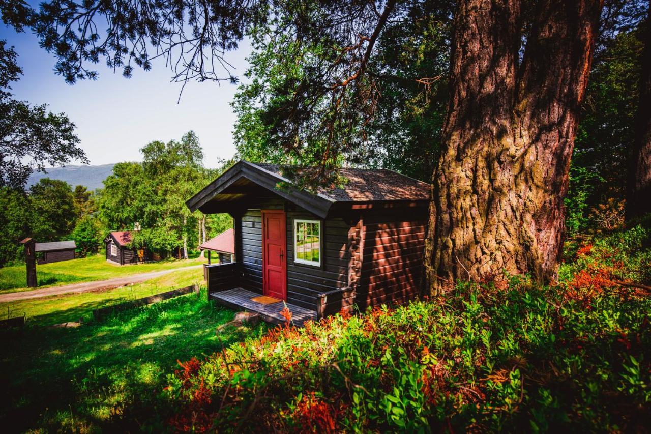 Ljoshaugen Camping ドンボース エクステリア 写真